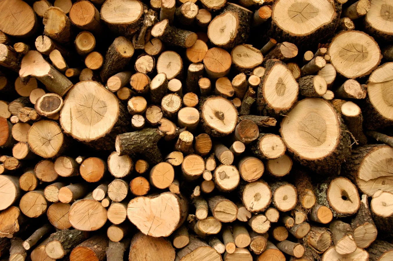 A neatly stacked pile of natural cut firewood, perfect for rustic themes and environmental